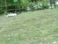 vpbr 2008_prt8