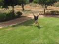 Amazing somersaults by Alon Yaacoby from Israel Amazing somersaults by Alon Yaacoby from Israel