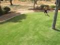 Amazing somersaults by Alon Yaacoby from Israel