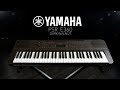 миниатюра 0 Видео о товаре Синтезатор YAMAHA PSR-E360DW