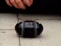 sony rolly takes disco to the street