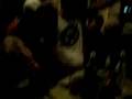 Pinoy-Surfers-sing-Bon-Jovi,-La-Union