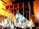 Semana Santa 2008-Los Angeles,Encierro.