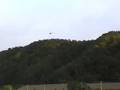videos de ＡＩＲ　ＦＯＸ