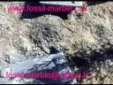 working fossil and marble in morocco rissani