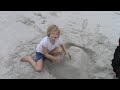 20091231150338.mpg