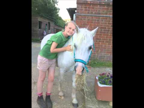 xxxnxxx - This is my friends little pony she is 12hh and can jump pretty big! This is Aimee loveforhorses100 riding her she is a great rider no crit! I DO NOT OWN THE ...