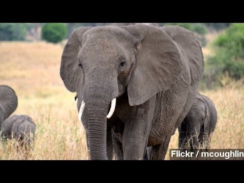 YouTube Preview Image