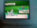 The STARAVIA and BIBAREL lvl 4 TRICK