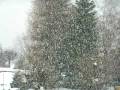 videos de Neige du 05 12 2008