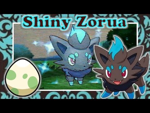 how to get zorua in pokemon x