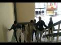 videos de 4to piso