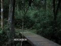YouTube - posada La Bonita, Misiones