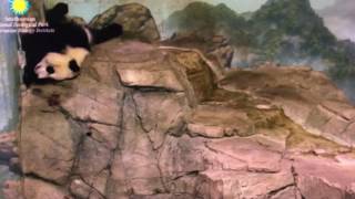 Smithsonian National Zoo