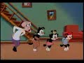 The Monkey Song