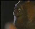 Dr.Alban - Tio Sm� Moppepojkar