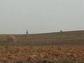 Dove Hunting East Tennessee 2007
