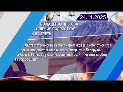 Новостная лента Телеканала Интекс 24.11.25.