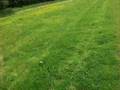 Tash and Lucy trotting on a hack