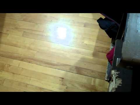 GoStanPoe - Recorded on January 4, 2011 using a Flip Video camcorder.