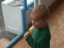 soy milk popsicle soy milk popsicle