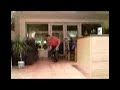 Dog Bowling