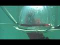 I'm a celebrity- Simon's bubble trial [High Quality]