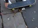 michael stomped the 13 angle 2