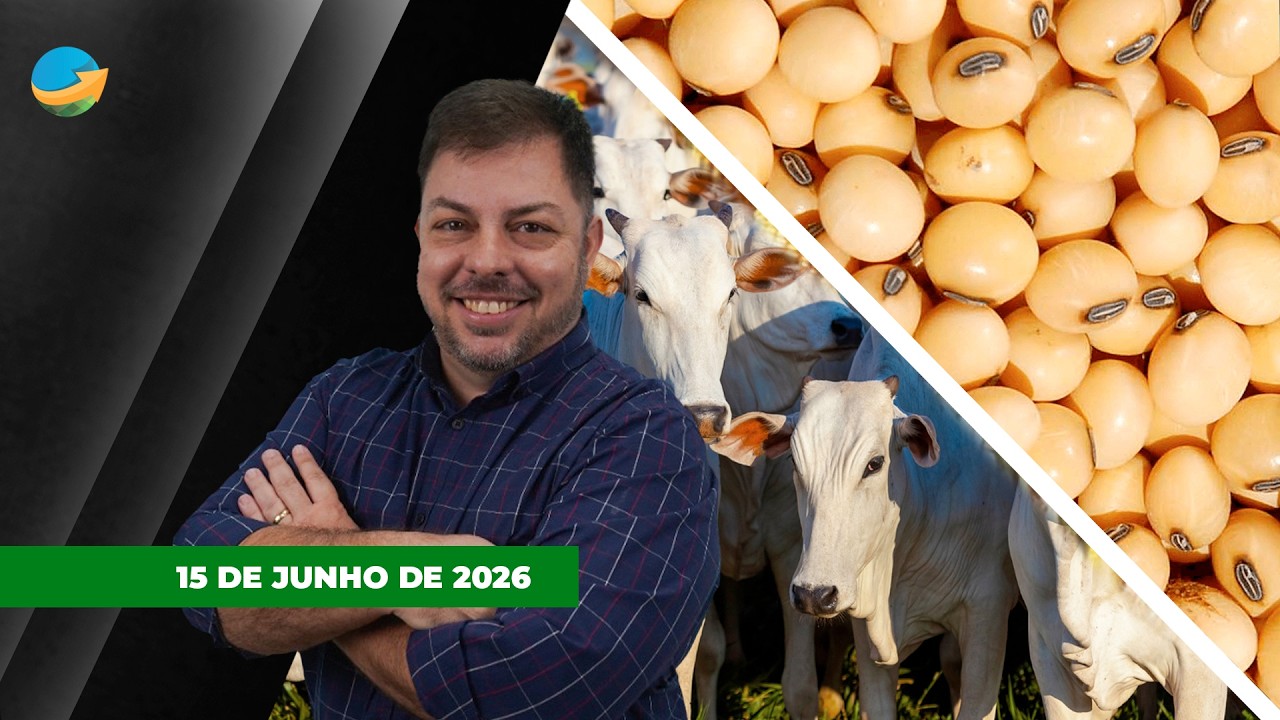 FECHAMENTO DE MERCADO - EDIÇÃO 15-06-2026