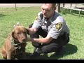 Clovis pet of the week 7-14 May 2007 Clovis pet of the week 7-14 May 2007