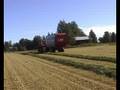 MF 7495 + JF CT 3600  Forage Wagon