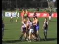 Berwick vs Cranny Brawl