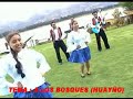 A Los Bosques ( HUAYÑO Tradiocional de Potosí Bolivia ) Da2