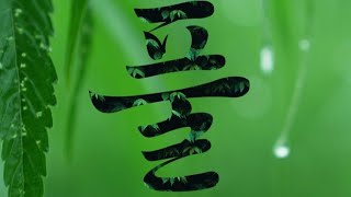 행사 관련 유튜브 영상