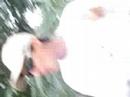 l\
