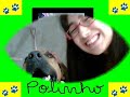 star fashion polinho