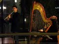 Musica e Disagio 2008 - Sonata per flauto e arpa (Nino Rota) Musica e Disagio 2008 - Sonata per flauto e arpa (Nino Rota)
