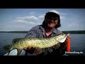 Gastangler in Ostfriesland Teil 1