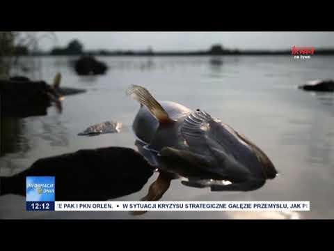 Rekompensaty za katastrofę na Odrze