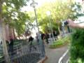 videos de JONAS BROS IN DISNEY CA ADVENTURE 11/25/08