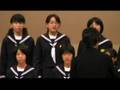 videos de VTS 11 1