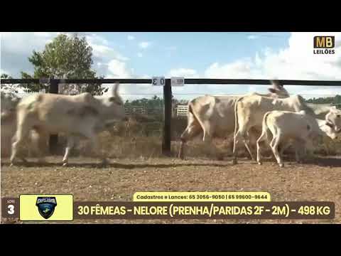 1� LEIL�O EXPOJUINA - 2026