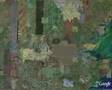 Google Earth