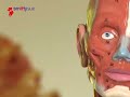 Entspannung: schnell, einfach, effektiv