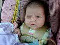 eden rose, july 2 2008