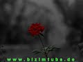 Hasan Dursun - Can Ahmedim