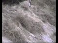 Limpieza del bosque monegros airsoft bilbao