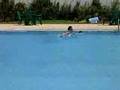 A la picine XD