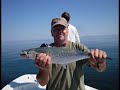Wrightsville Beach Fishing, Spanish Mackerel on Fly Wrightsville Beach Fishing, Spanish Mackerel on Fly