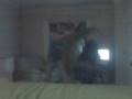 videos de ross pip and sanjeeta STEAMING
